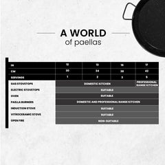 17 in Paella Pan | Professional Induction Cookware | 42 cm | 5 servings